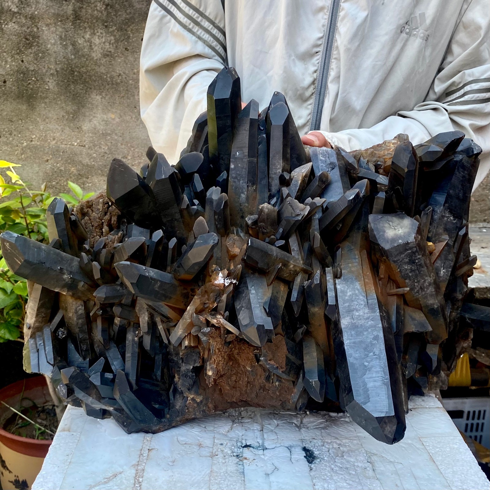 57LB Tea black Crystal quartz Cluster Mineral Specimen Healing reiki