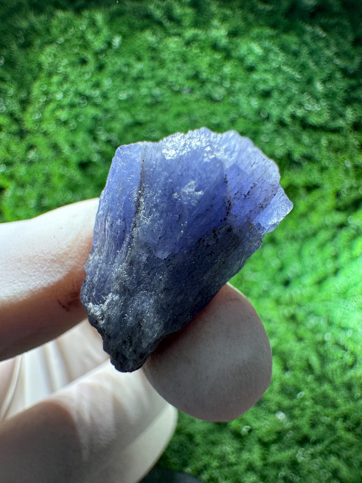 Amazing TANZANITE Crystal with COLOR CHANGE under / N881