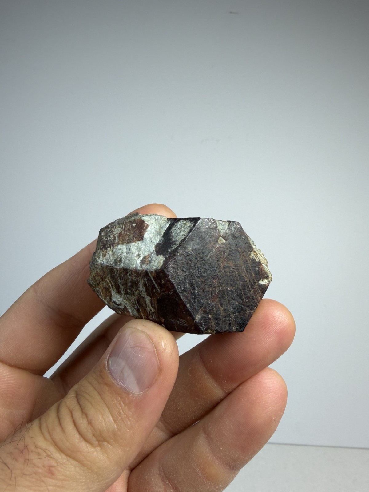 Large Red Garnet Crystal | North Carolina | Little Pine | Mineral | Specimen