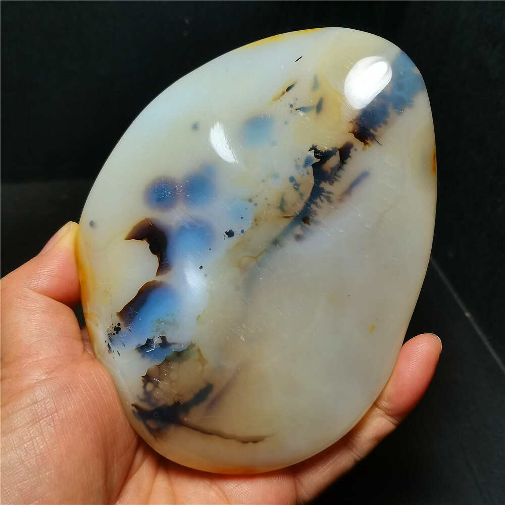 TOP 384 G Natural Polished Aquatic Plants Agate Crystal Madagascar BY384