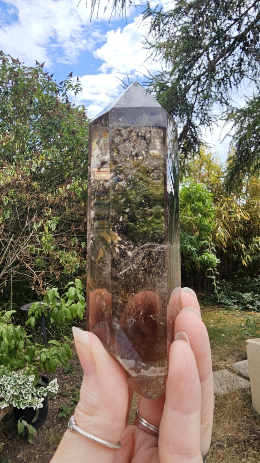 A Grade Smokey Quartz Freeform On Wood Root Base Point 261g 15.5cm smoky
