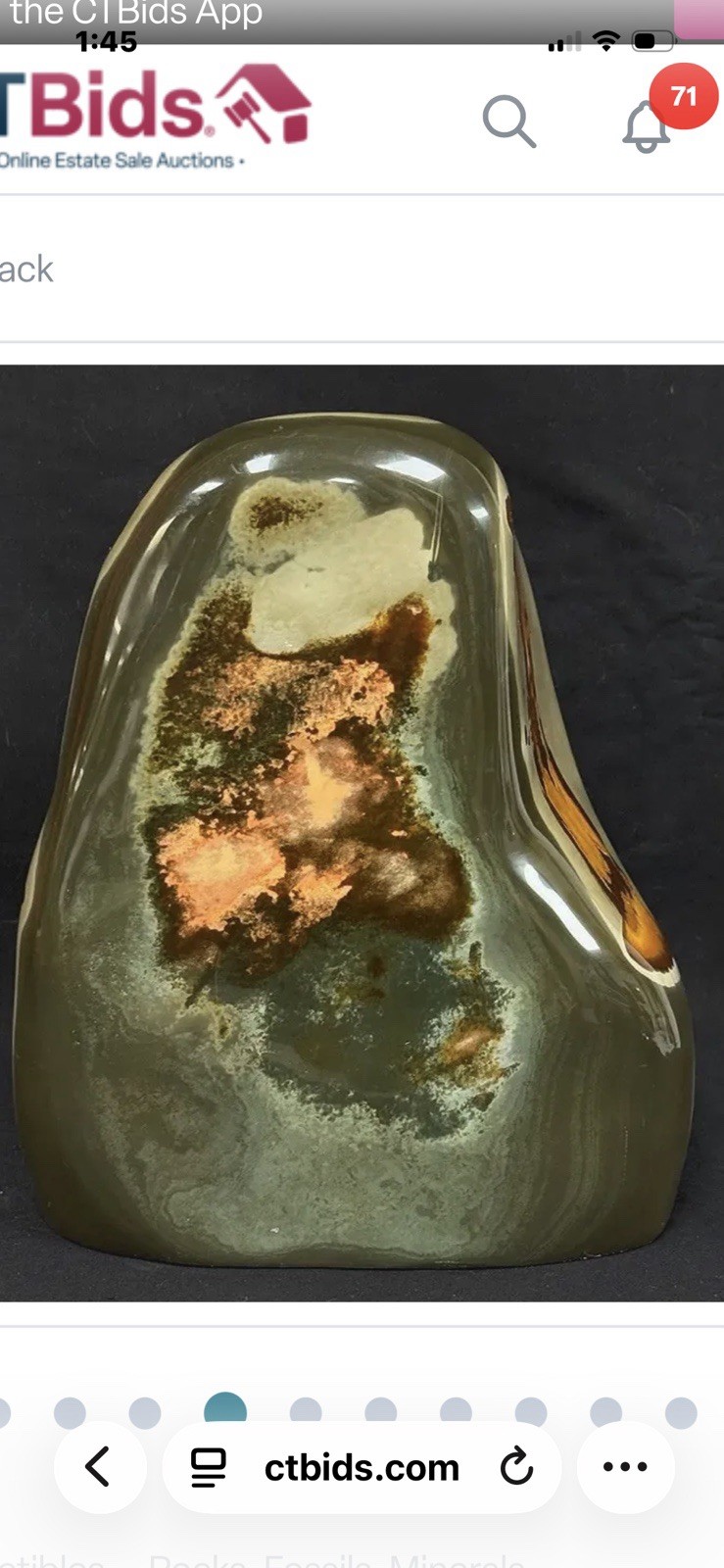 Stunning Madagascar POLYCHROME JASPER 9”x 8” and 15.8 Pounds