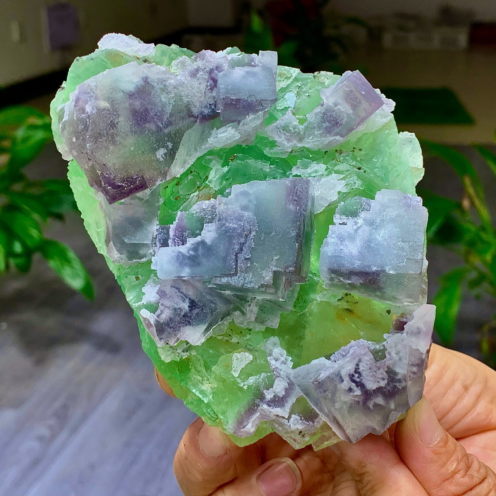 1.7LB Rare transparent green purple cubic Zhejiang fluorite mineral sample