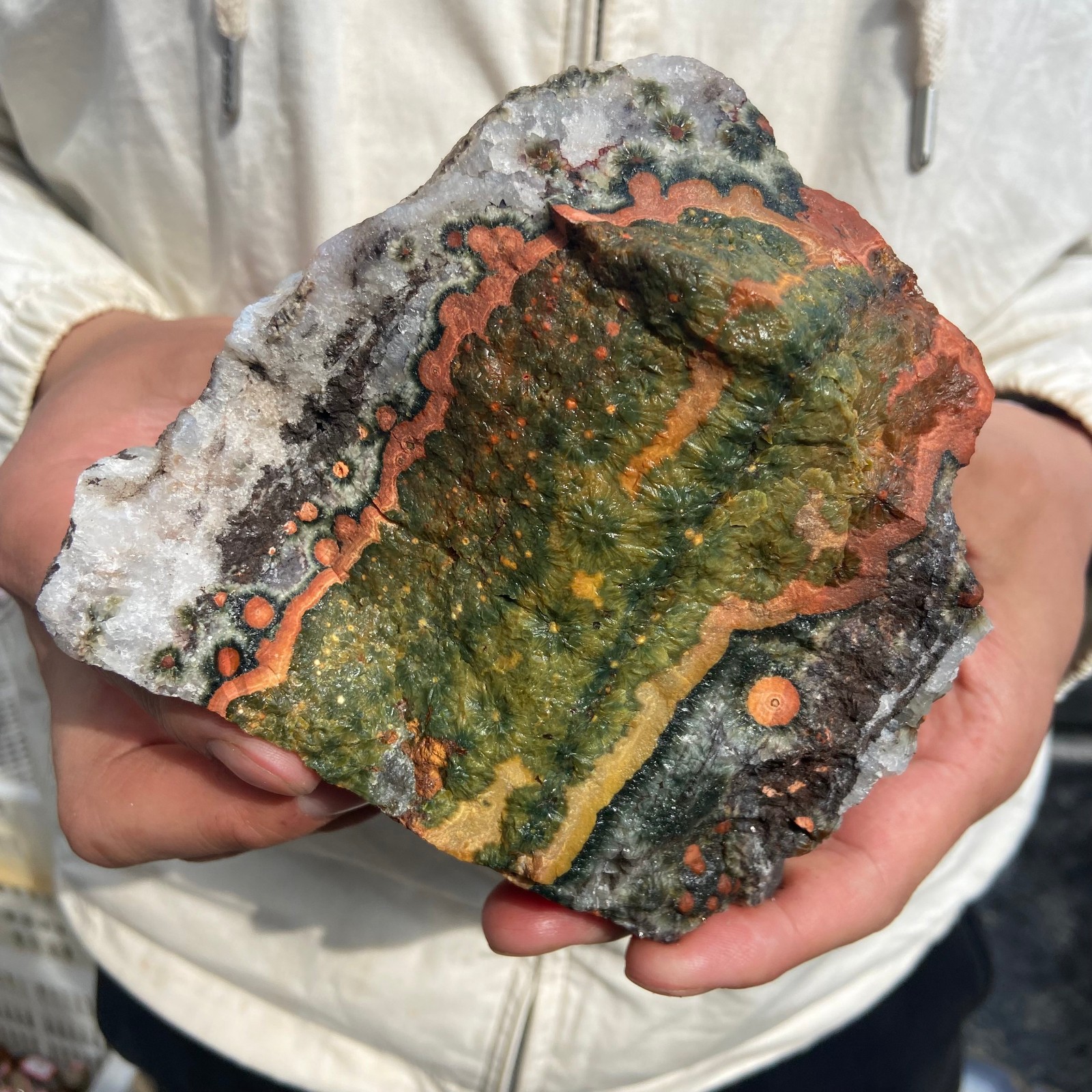 2.6lb Rare Natural colourful ocean jasper quartz crystal rough mineral specimen