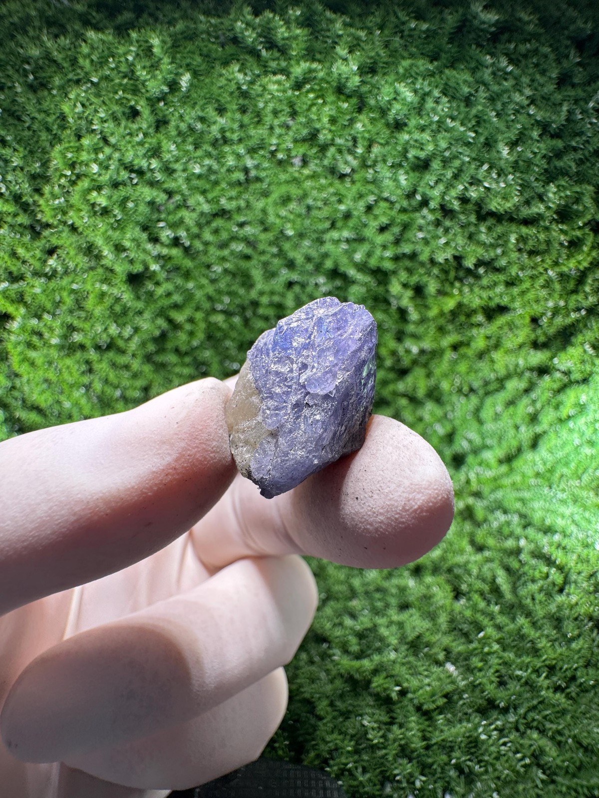 TANZANITE Crystal with COLOR CHANGE under / N878