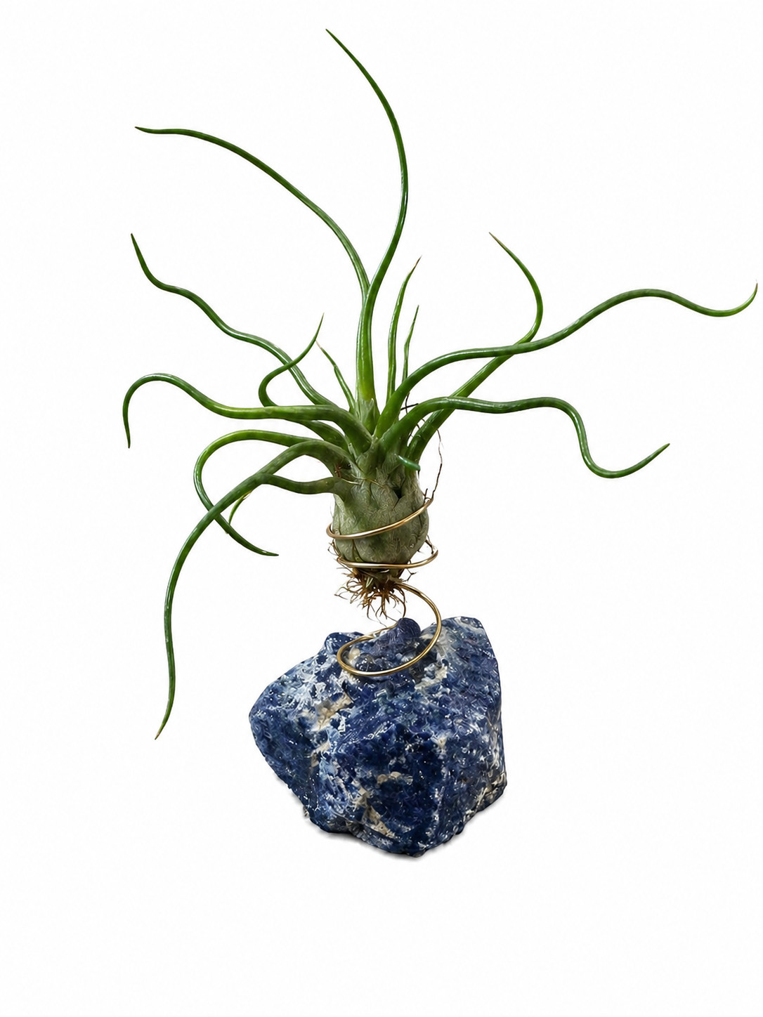 Air Plant Holder Geode Crystal w/ Bulbosa + Spray Bottle & Care Kit BOHO GIFT