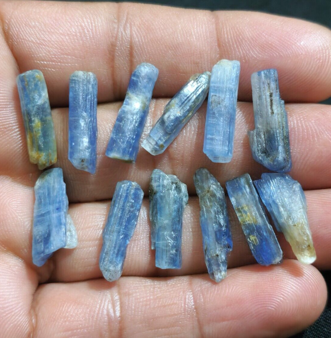 Fantastic Blue Kyanite Raw 12 Pcs Lot Size 18-20 MM Amazing Rare Loose Gemstone