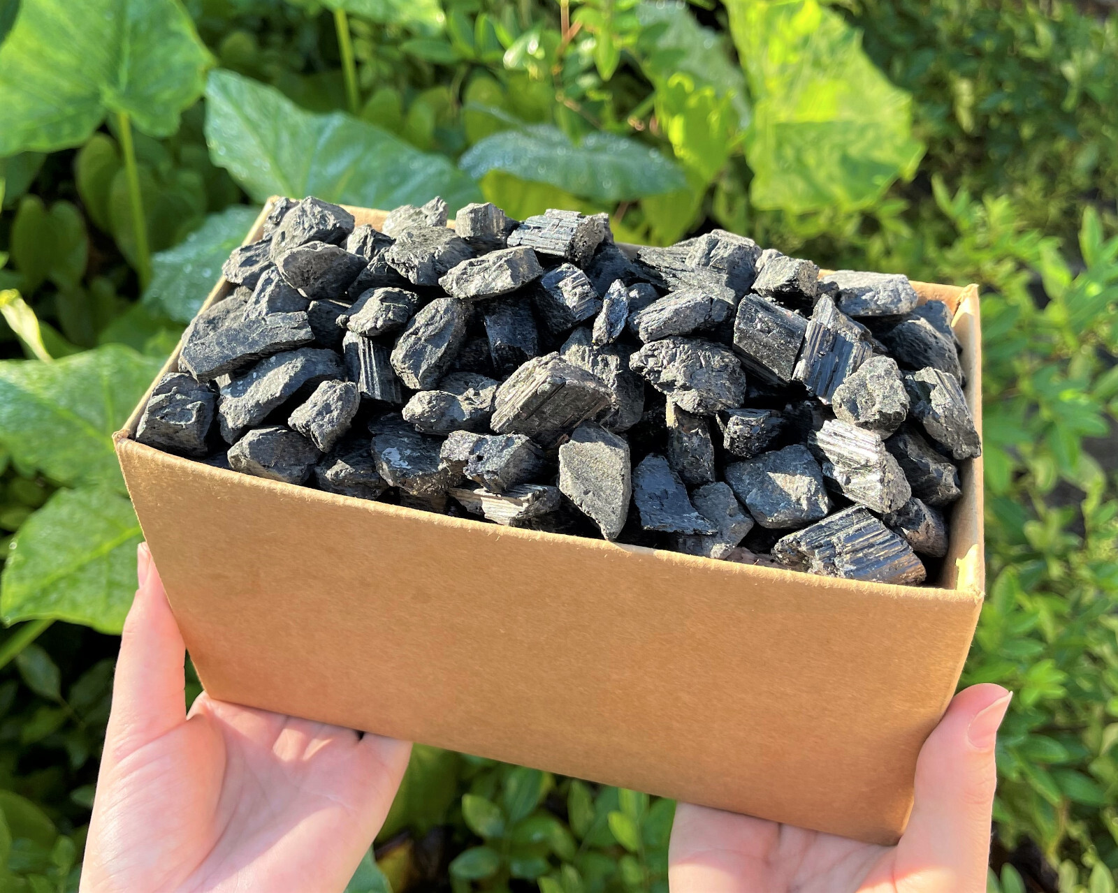 CLEARANCE Black Tourmaline Crystals Natural Stones – 8 lb Bulk Wholesale Box Lot