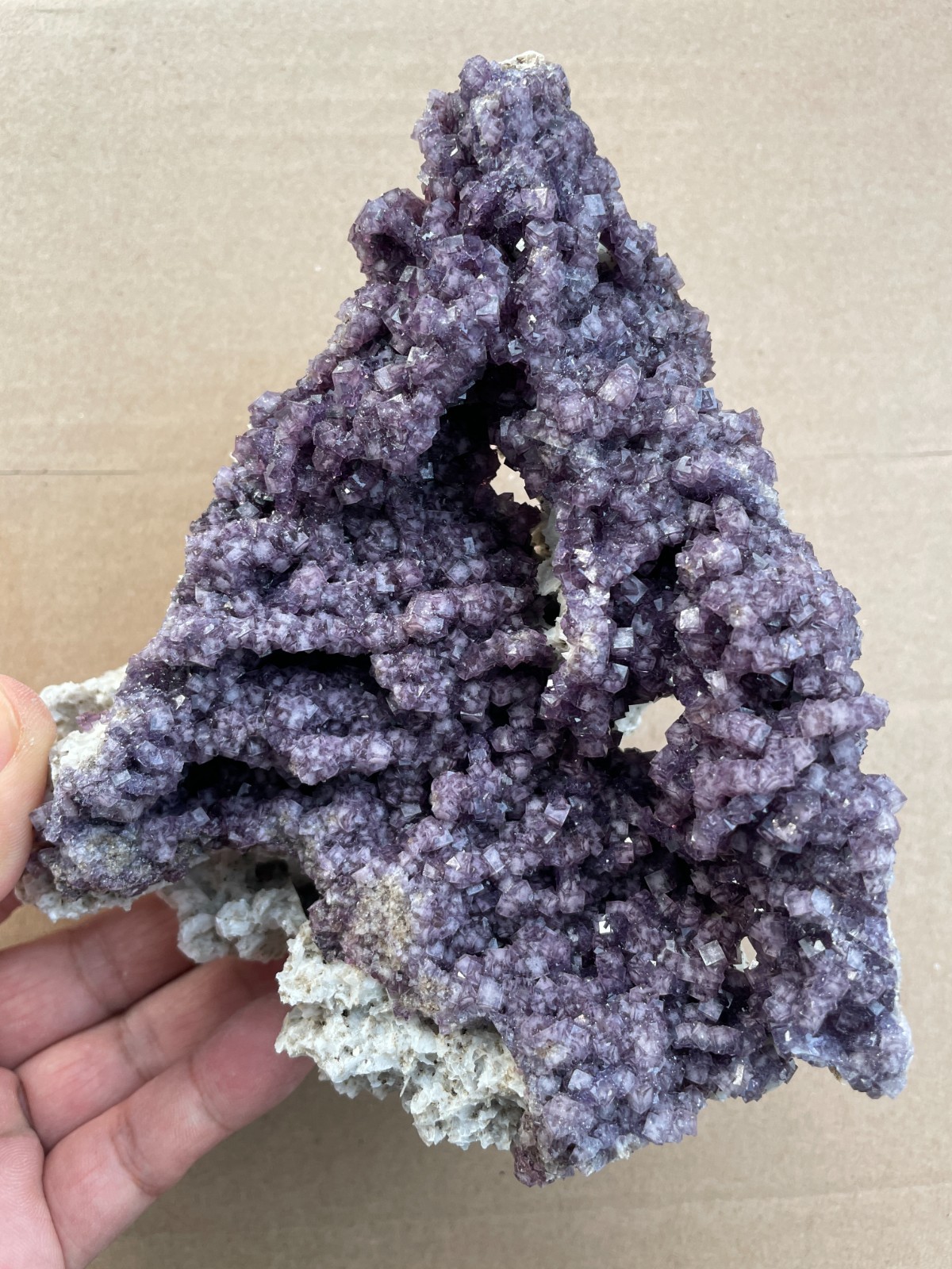 570g Natural cube fluorite on gypsum color-changing magical Landscape stone