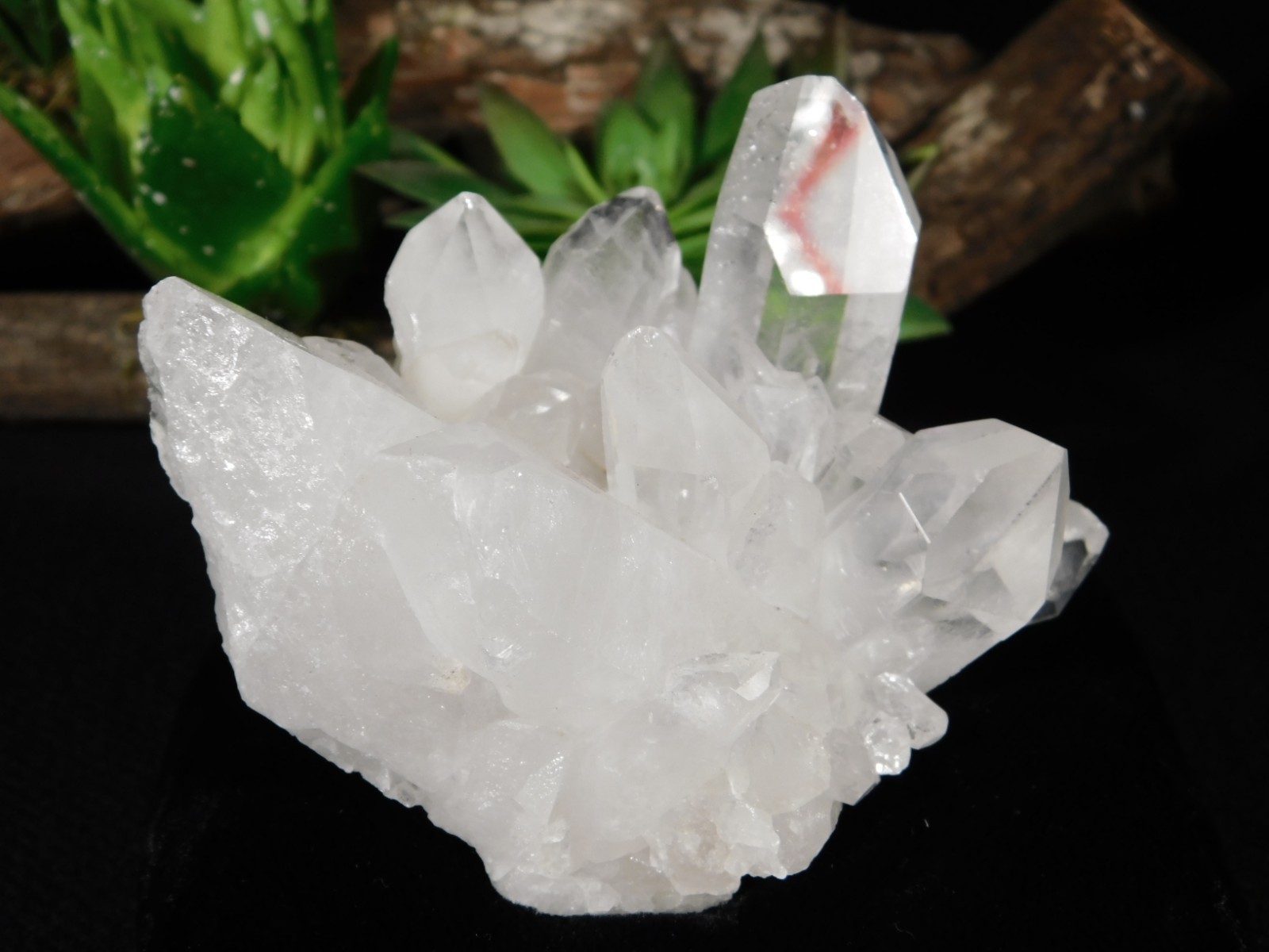 TRANSLUCENT Points! Nice and Natural QUARTZ Crystal Cluster Brazil 282gr