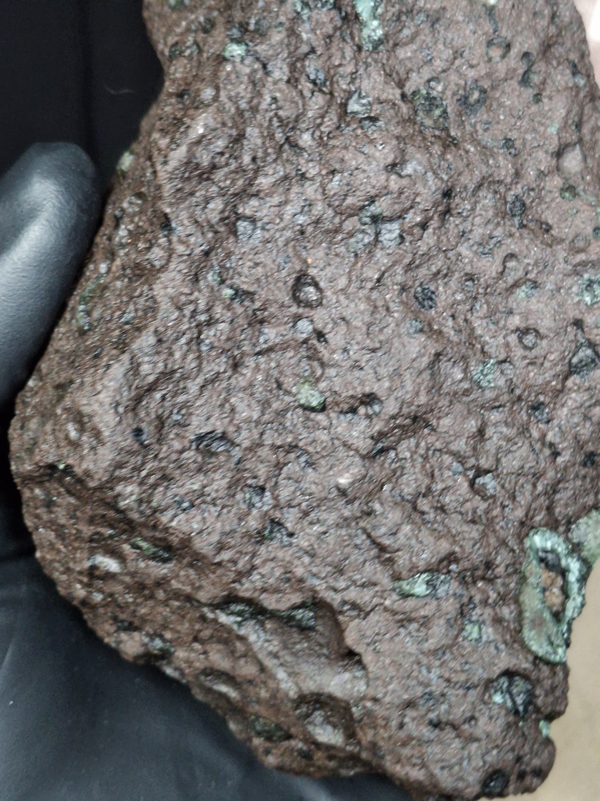 2lb 9oz Big Chunky Raw Greenstone Bright Isle Royale Chlorastrolite In Matrix