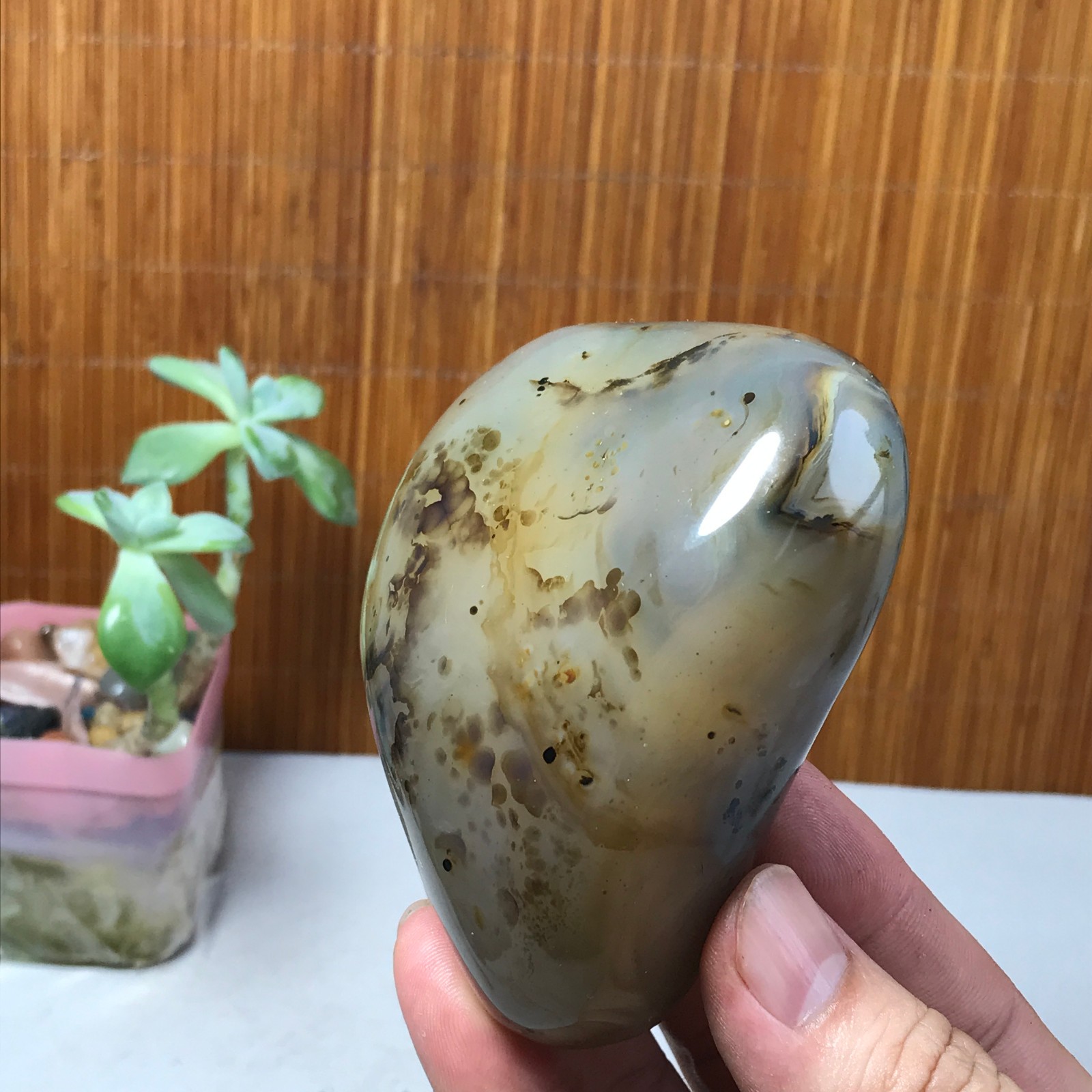 86-75-34mm Natural aquatic plants agate pretty Crystal specimens 300g A1638