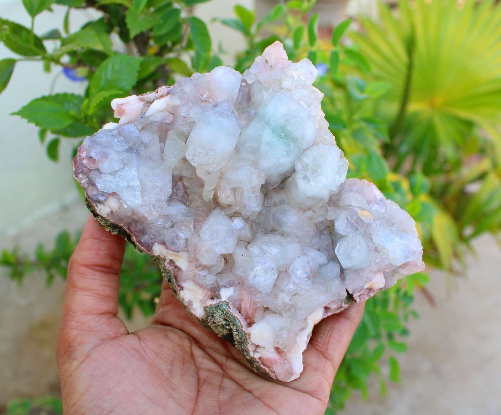 GREEN APOPHYLLITE CRYSTALS ON MATRIX MINERALS SPECIMEN #A43