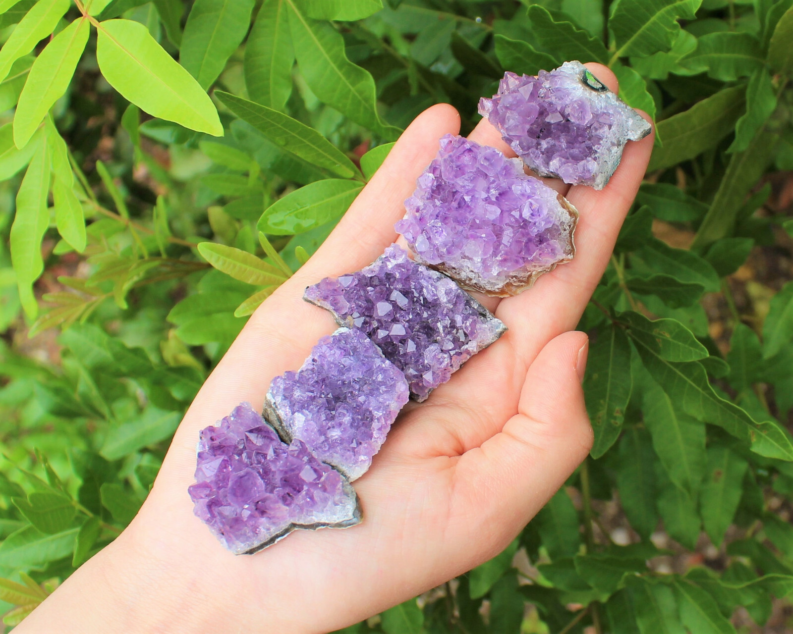 Amethyst Geode Druzy Crystal Quartz Cluster Natural Specimen: You Choose Size!