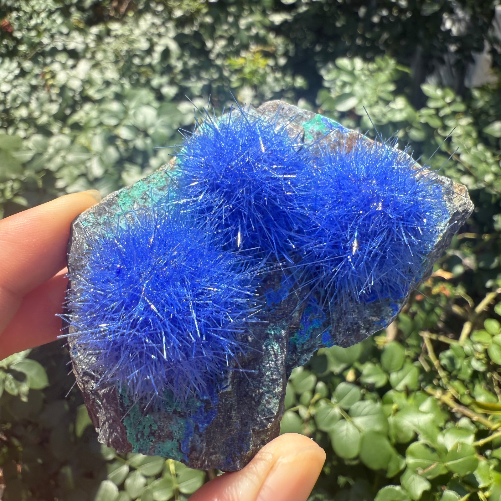 Raw Rough Dandelion Zeolite Cluster Blue Cave Quartz Crystal Specimen Decoration