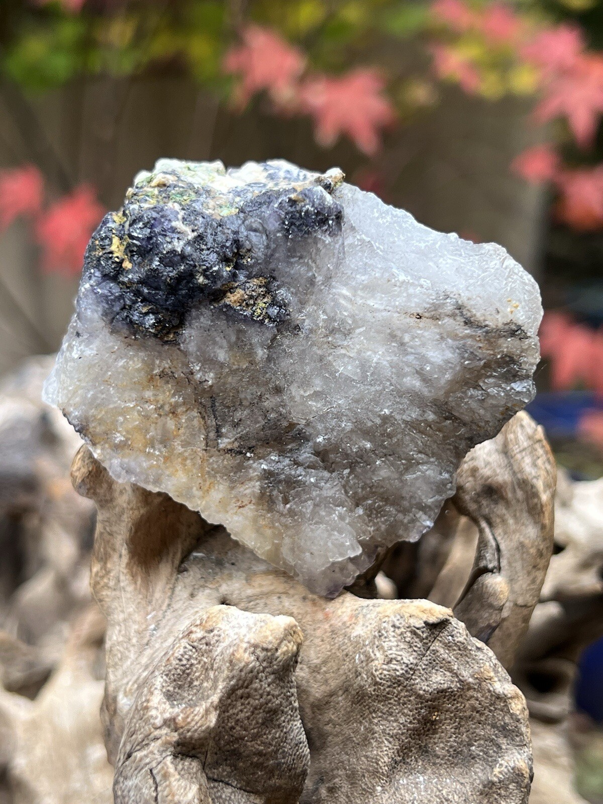 Blue John Fluorite Mineral Specimen United Kingdom 240g 17