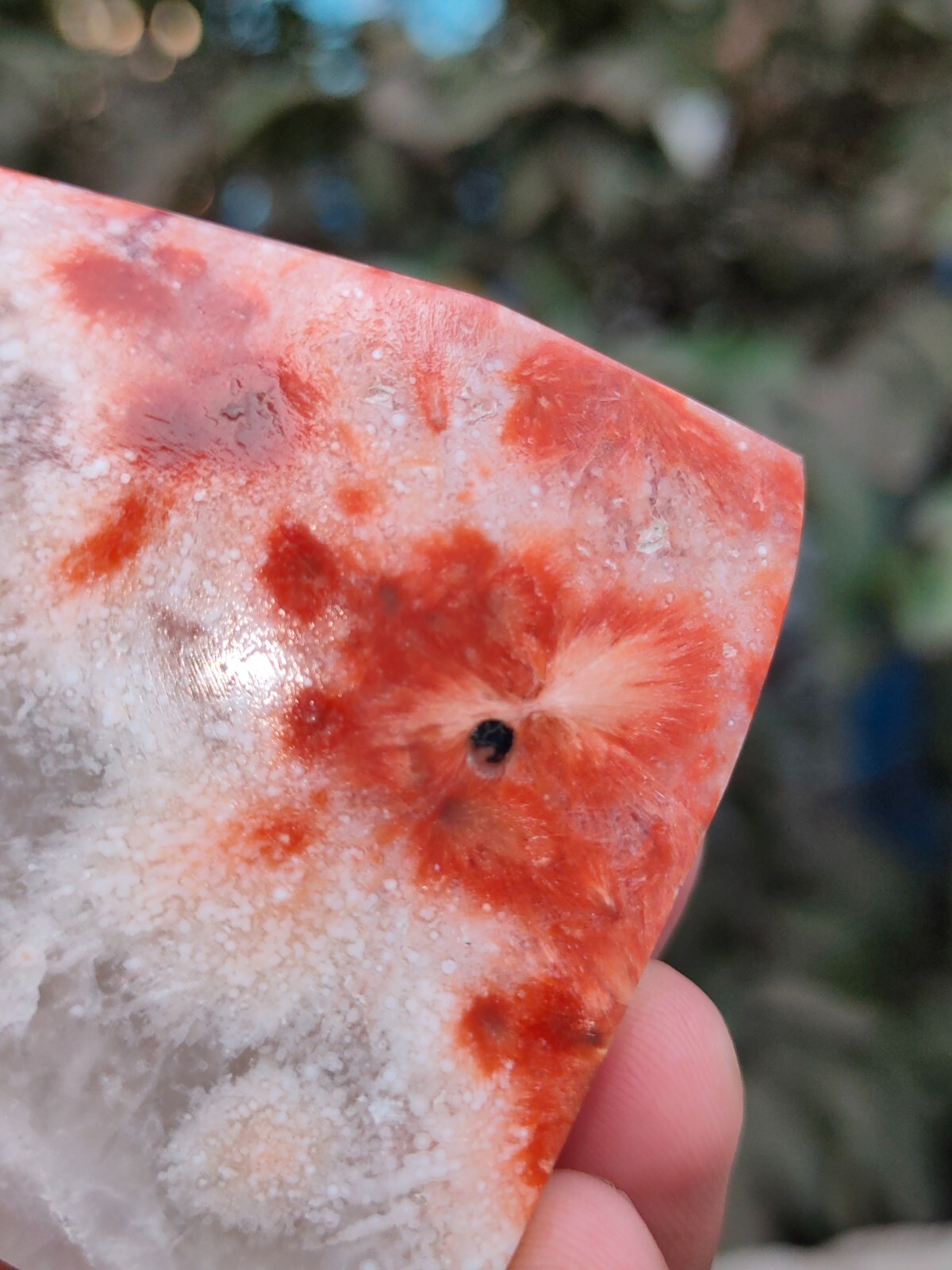 Sun Flower in Quartz. Polished Red Scolecite in Quartz garden decoration Mineral