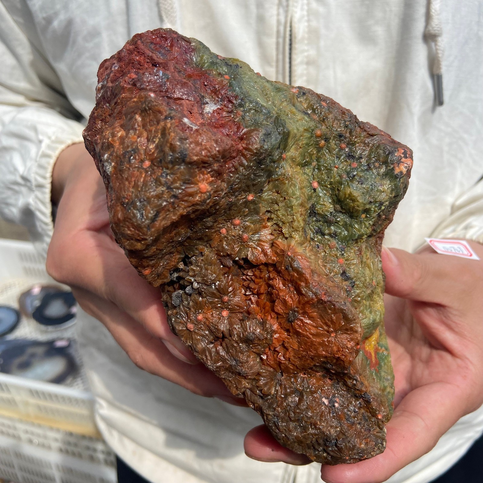 2.7lb Rare Natural colourful ocean jasper quartz crystal rough mineral specimen