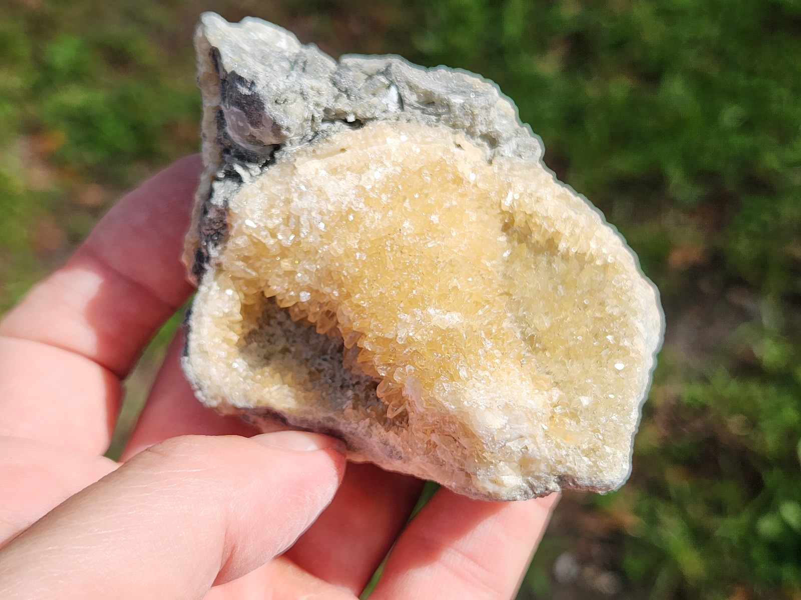 SET OF 3 Calcite CRYSTAL WHELK Shells Fossil Rucks Pit Florida dogtooth LOT