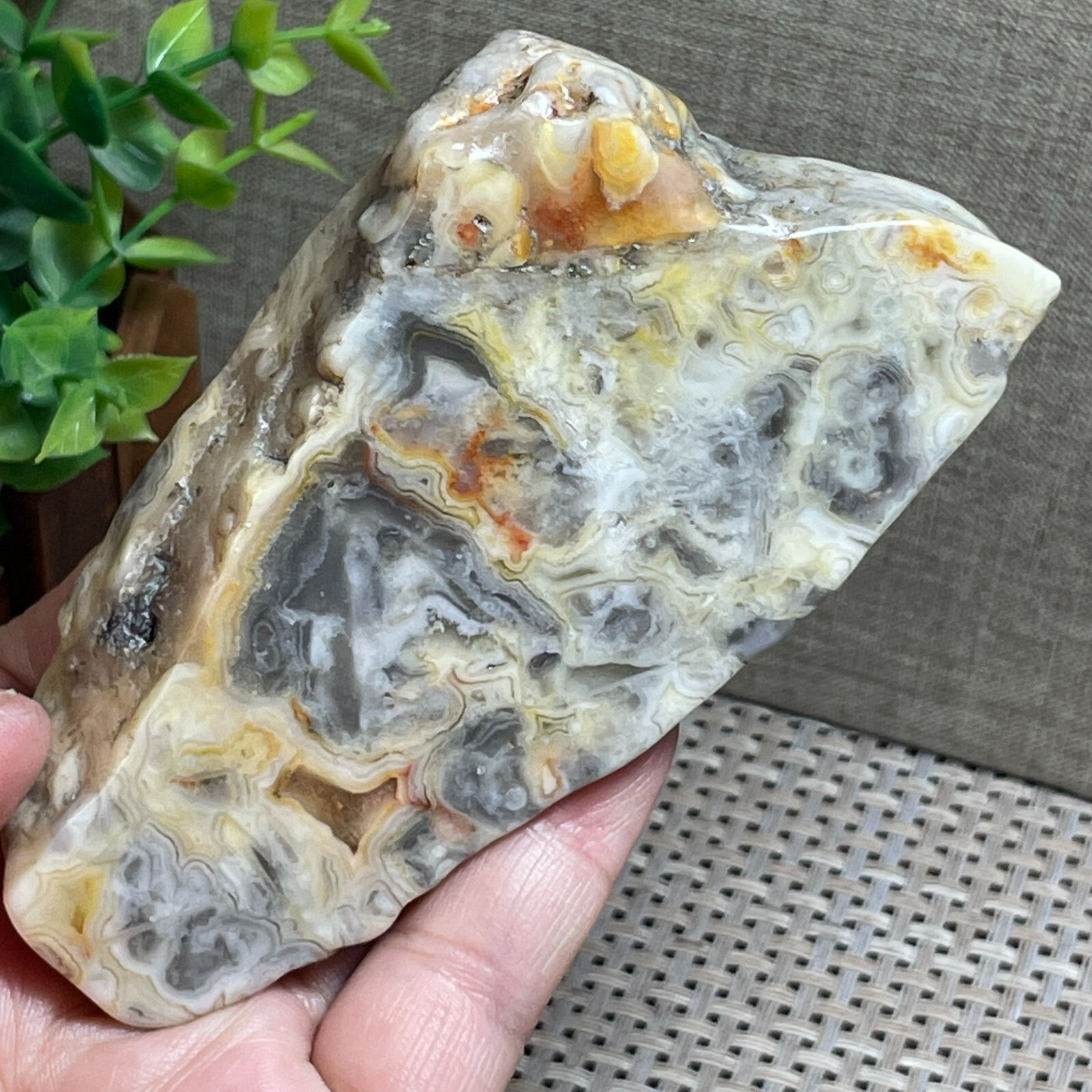 Mexican Crazy Lace Slab, Rough, Agate, Cabbing Lapidary Specimen stone 205g A100