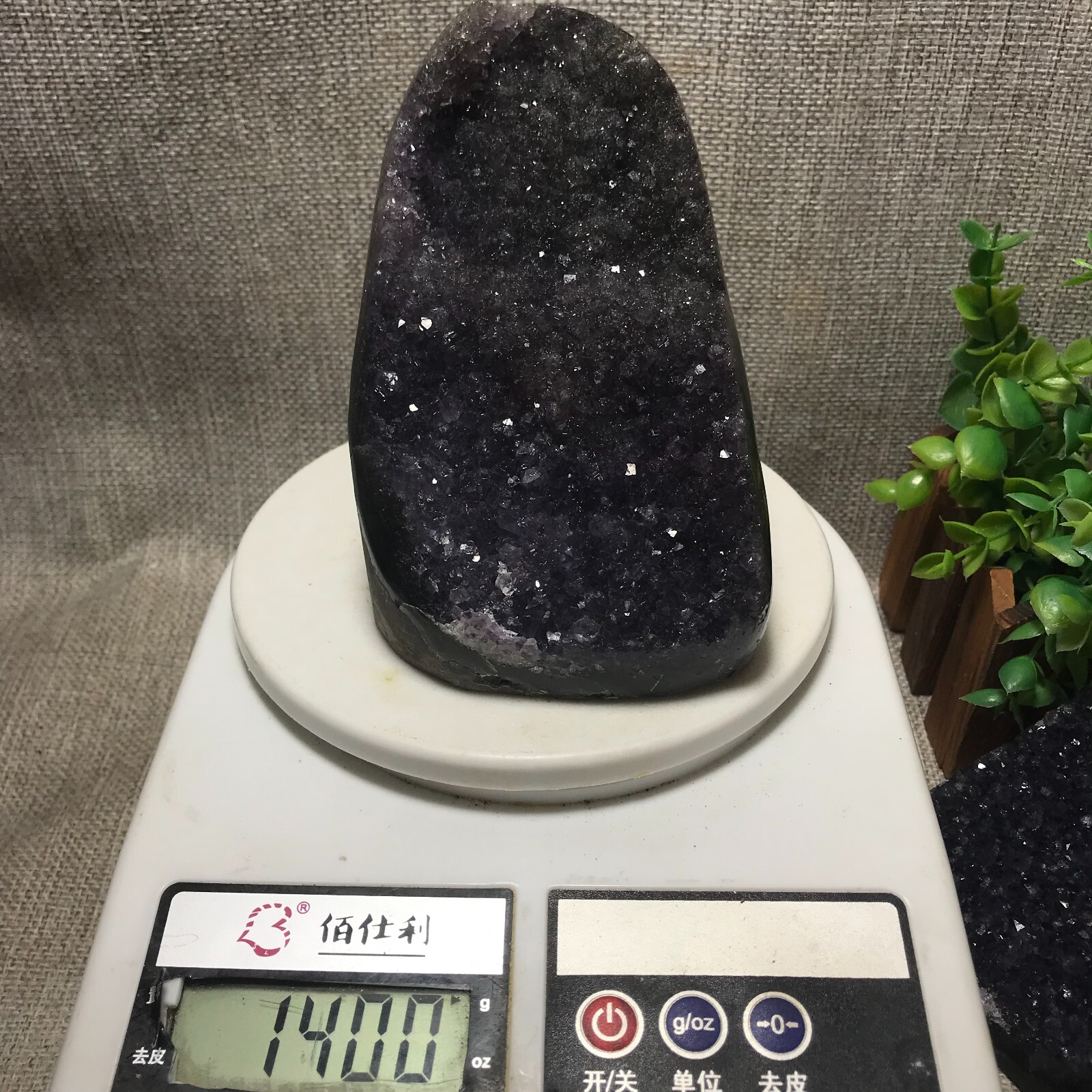 1400g Natural Amethyst Cluster Geodes Cut Base Quartz Crystal Healing 35