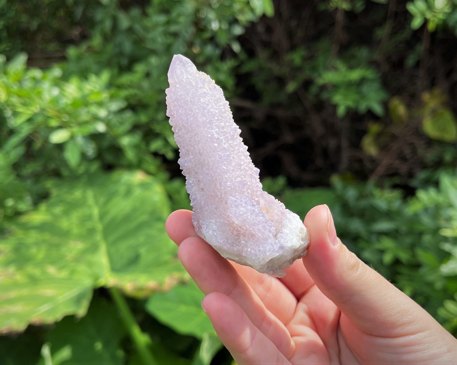 RARE Spirit Quartz Clusters Box: 8 oz, 5-6 Pieces (‘AAA’ Grade Natural Crystals)