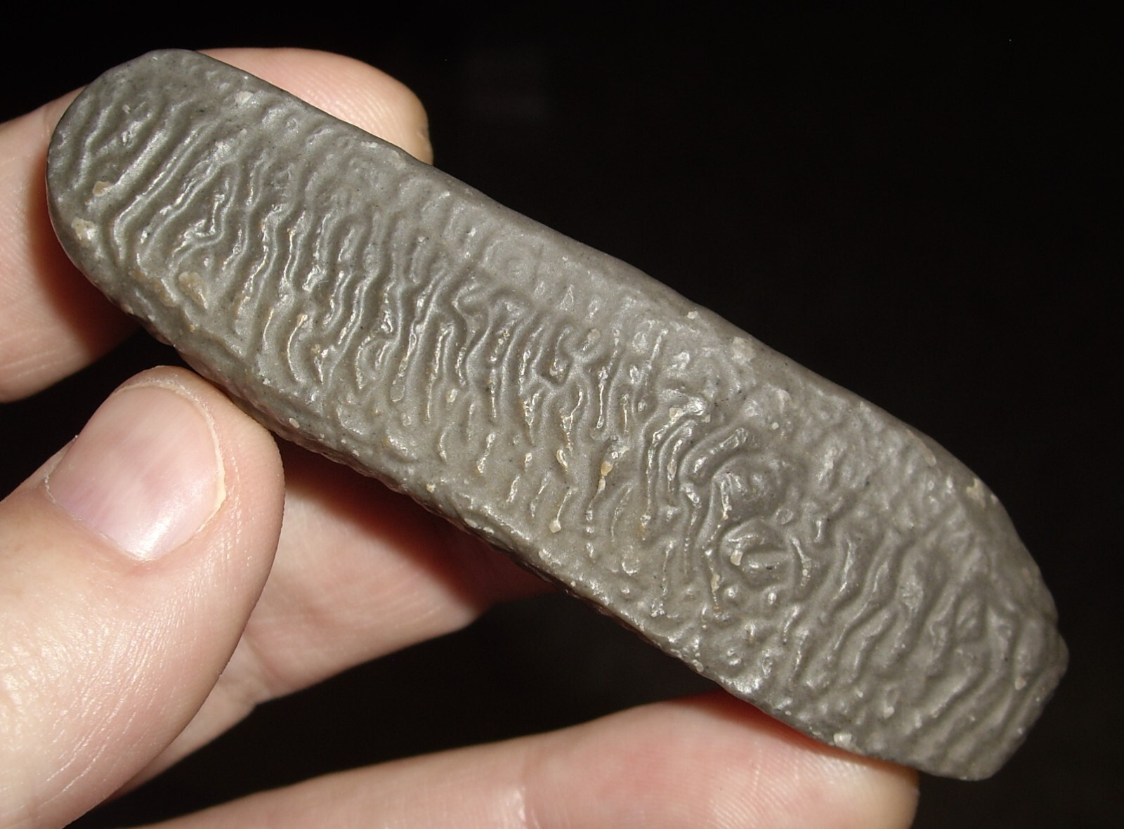 Awesome Wind Carved Wrinkle Stone from Gobi Desert 62g