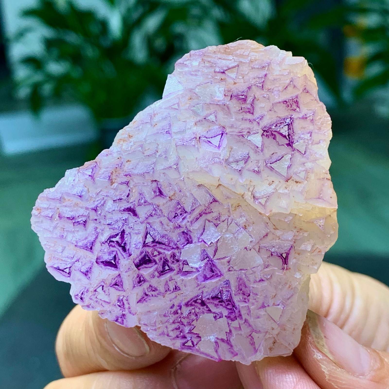 100G Natural fluorite purple edged cubic crystal mineral sample