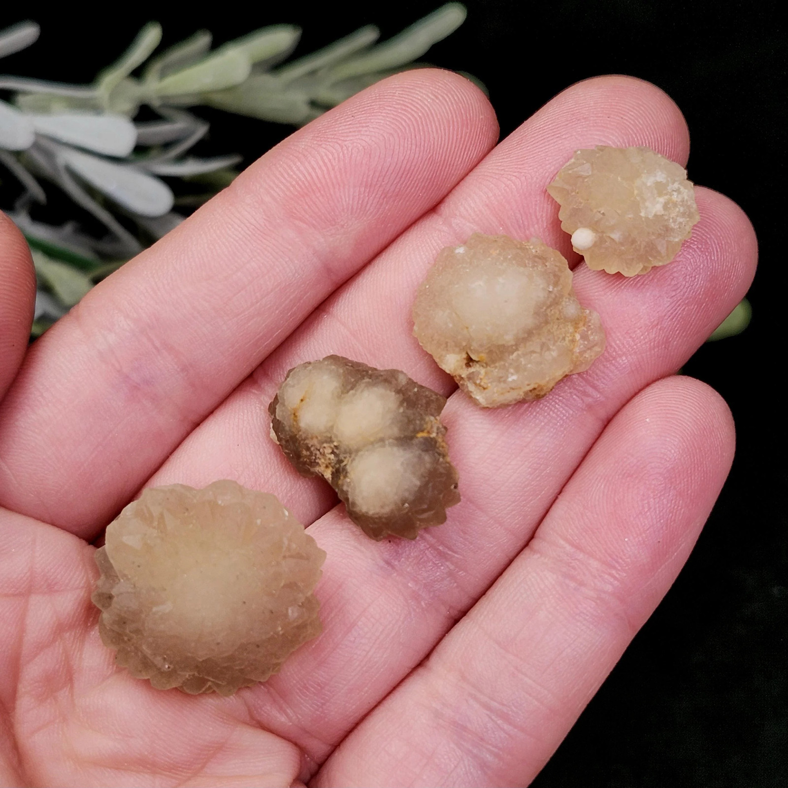 Cave Pearl Quartz