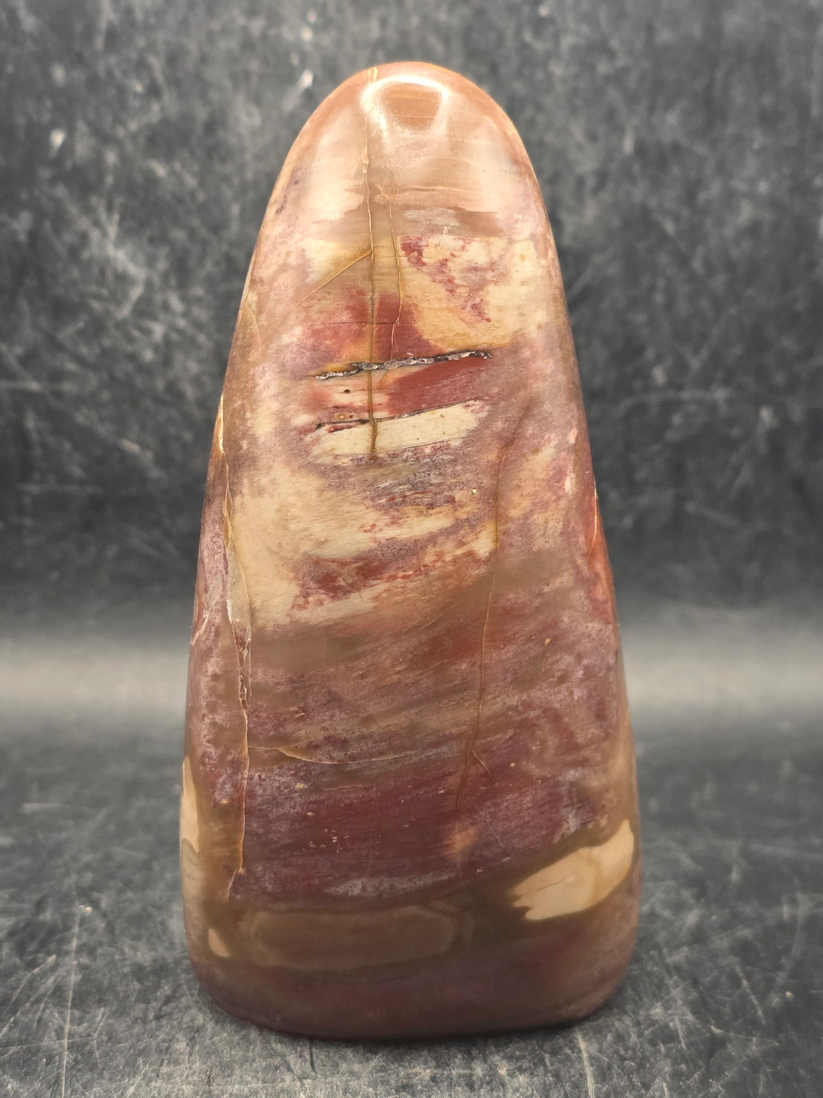 Petrified wood free form! 11.8 ounces, 4.2 inches tall, 2″ wide