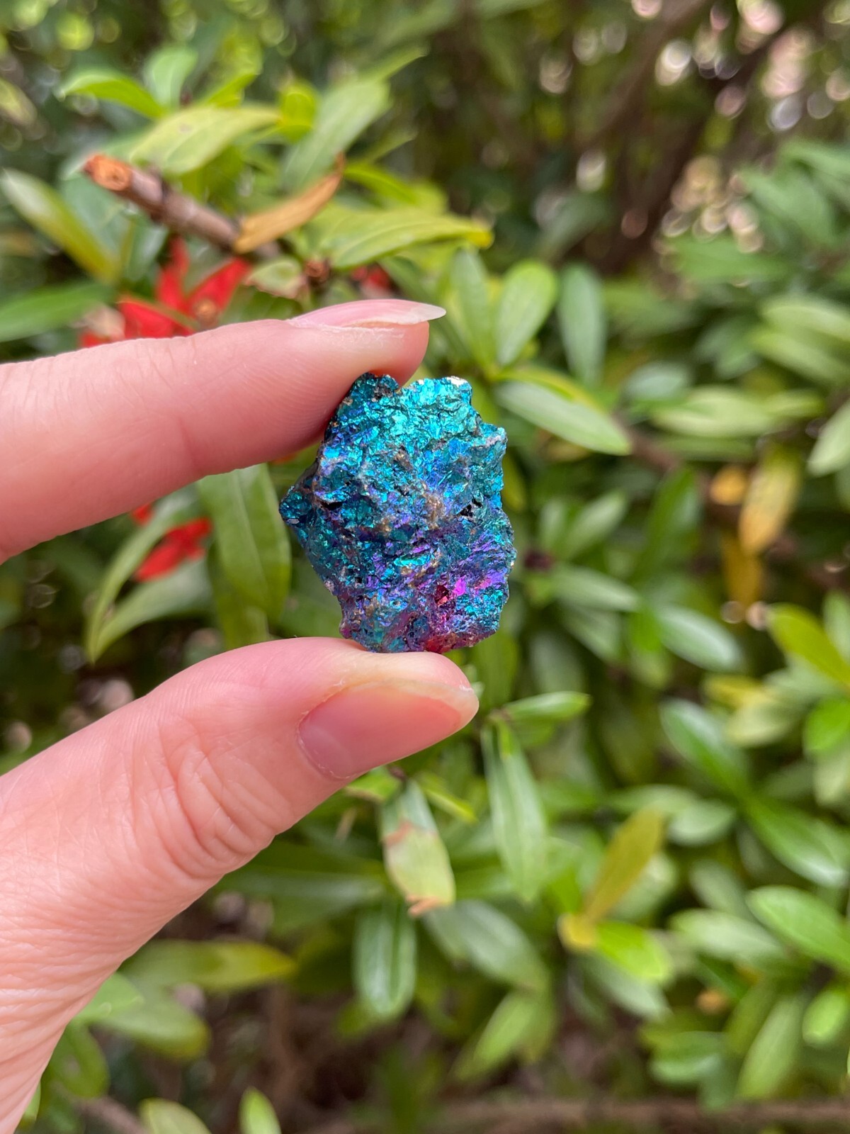 Grade A++ Small Chalcopyrite Natural Stone, Raw Peacock Ore, Wholesale Bulk Lot