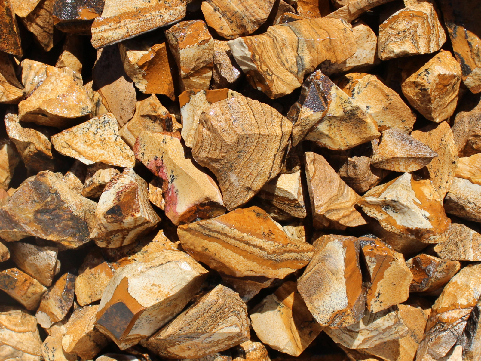 Picture Jasper – Rough Rocks for Tumbling – Bulk Wholesale 1LB option – Lapidary