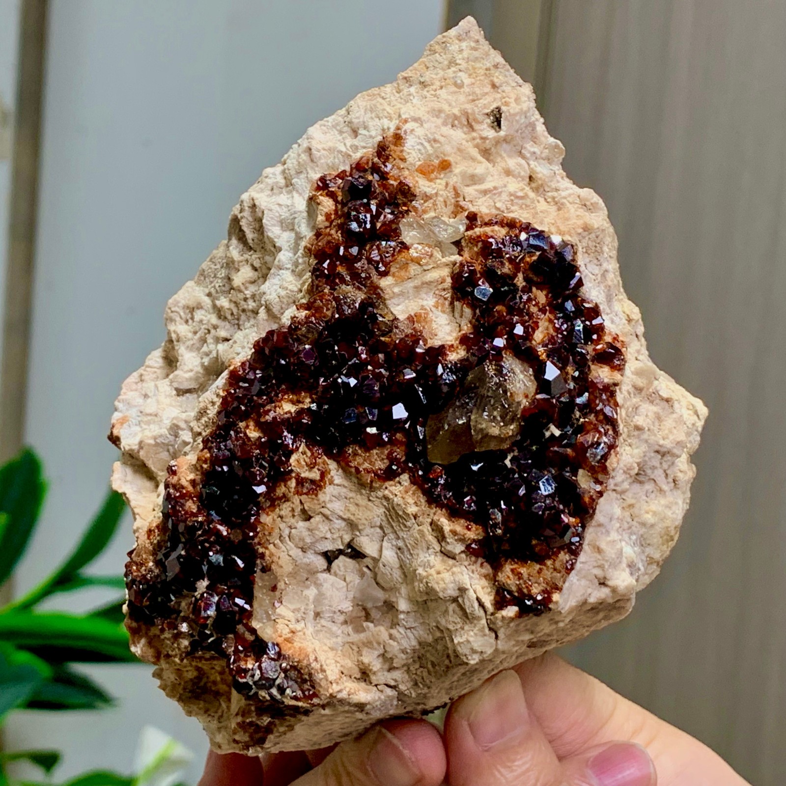1.92LB Natural Garnet with smokey quartz cluster Crystal Mineral Specimen