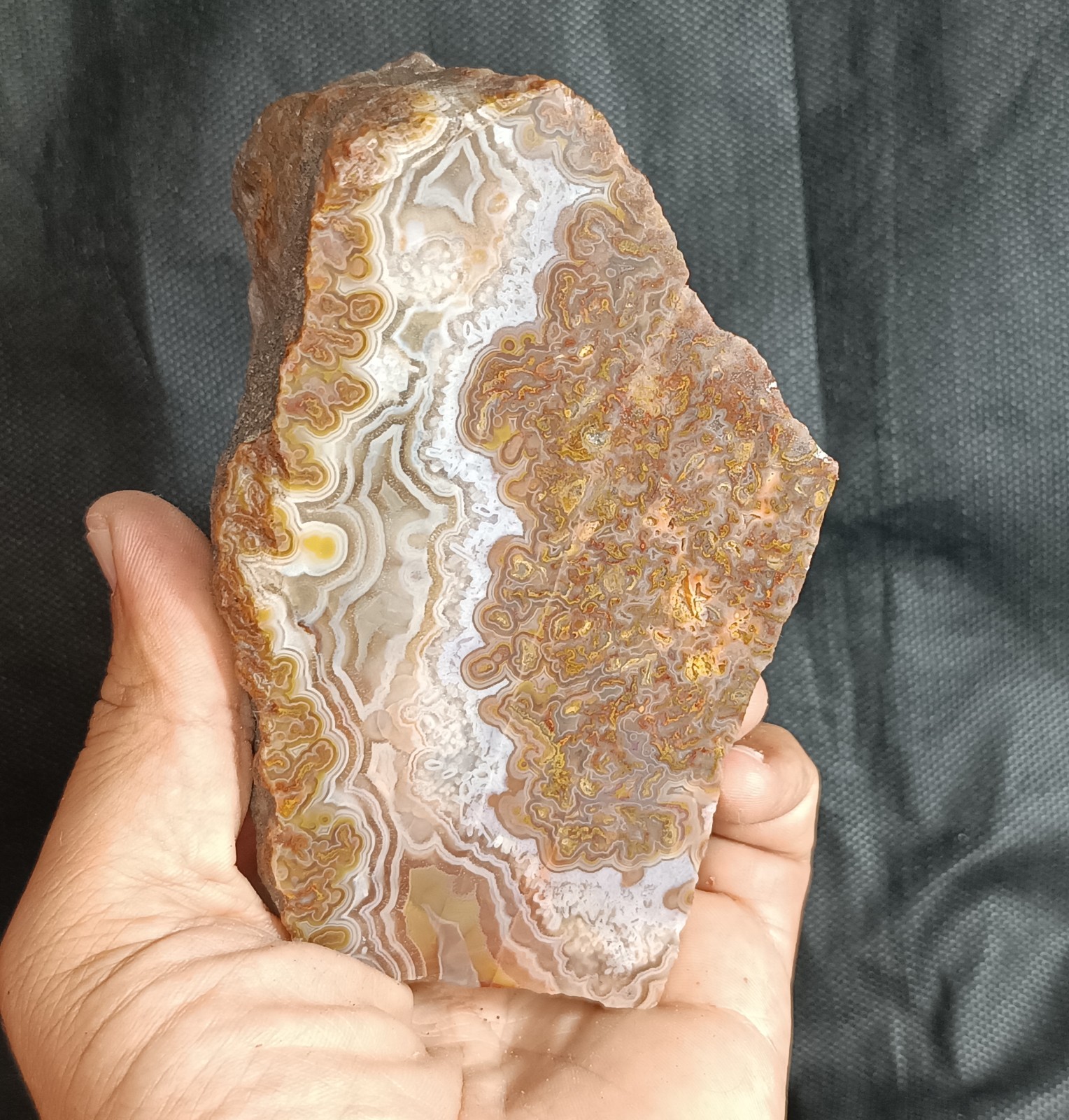1490g/3.29 lb turkish banded plume agate stone rough, customs duty included