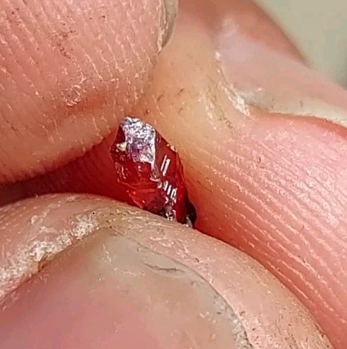 ULTRA RARE GEM RHODOCHROSITE N’Chwaning I Mine, KMF, South Africa