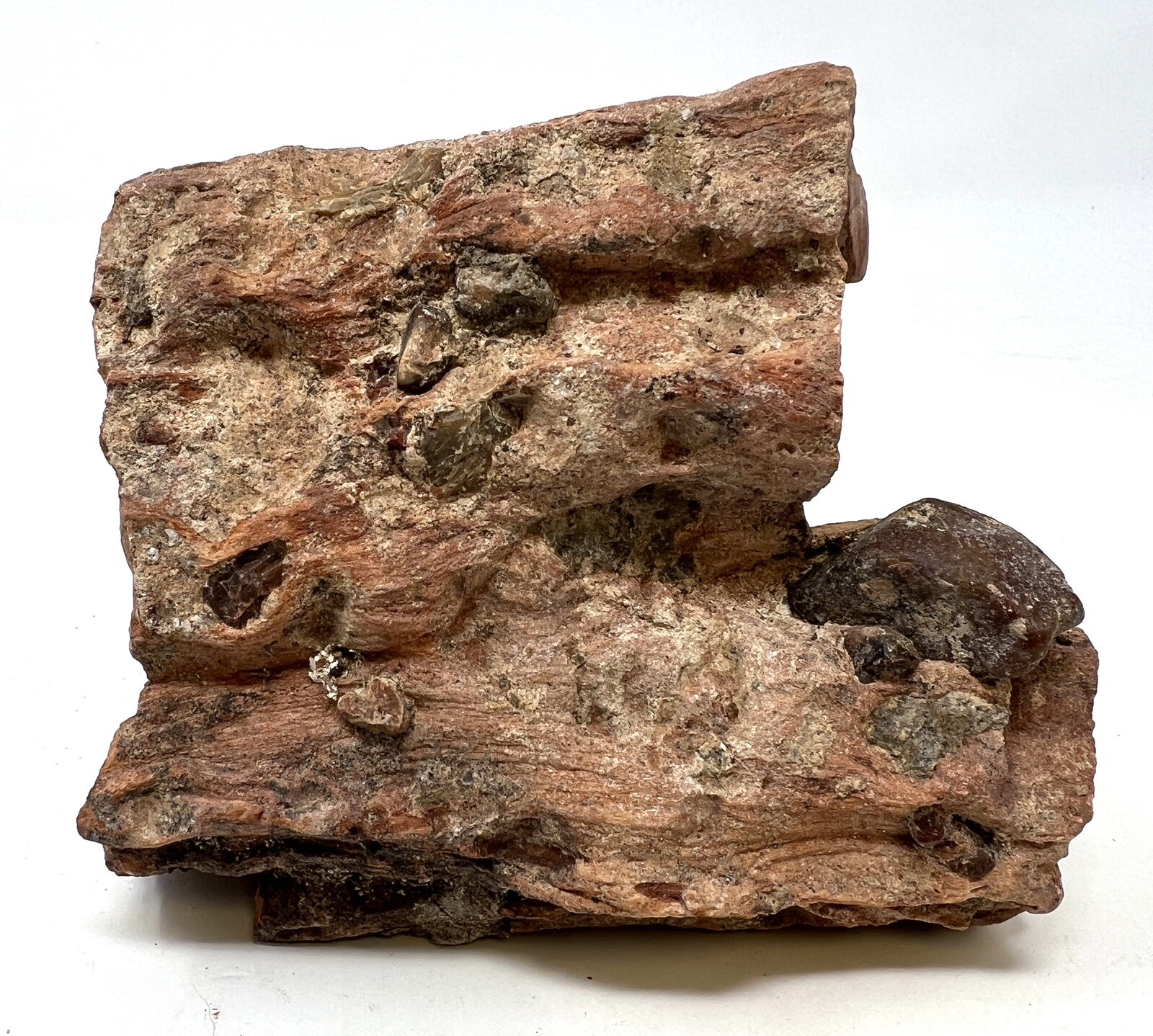Loose Natural Stone – United States: Petrified Wood 2lb 3oz