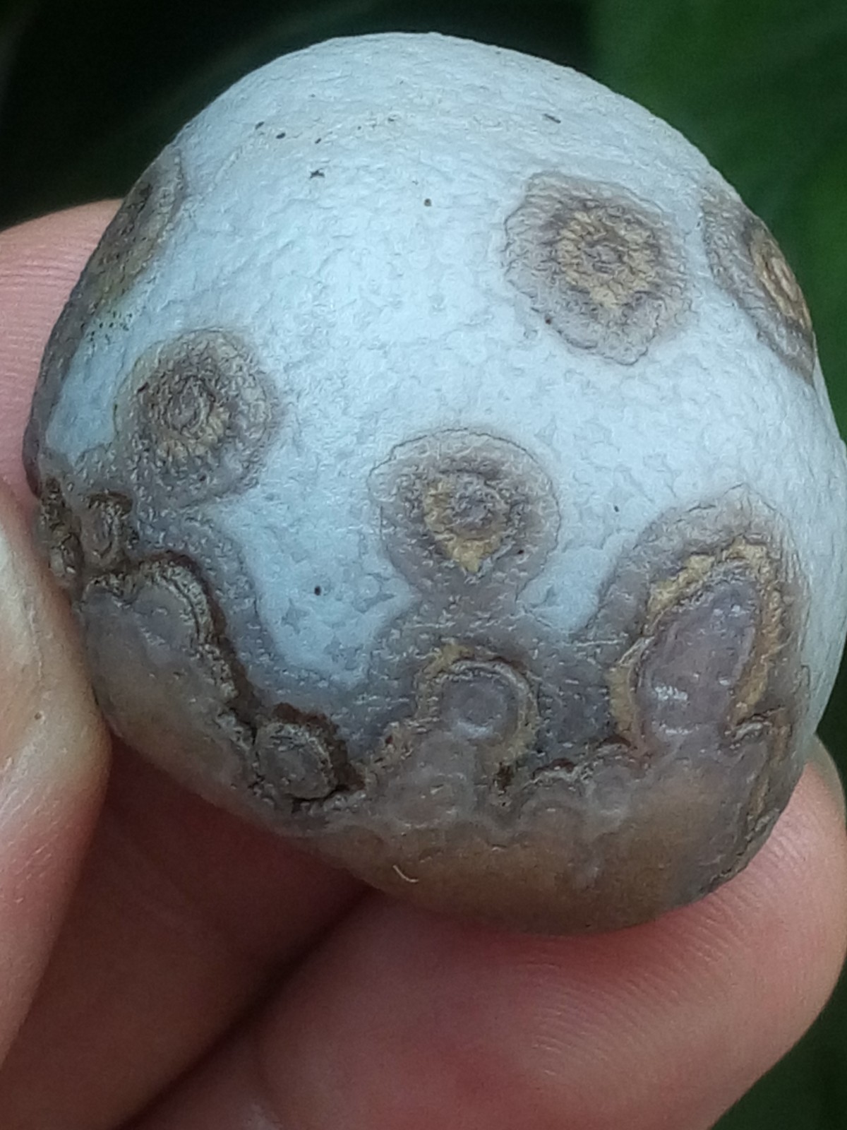 32mm Beautiful Natural agate Gobi agate eye agate stone collection