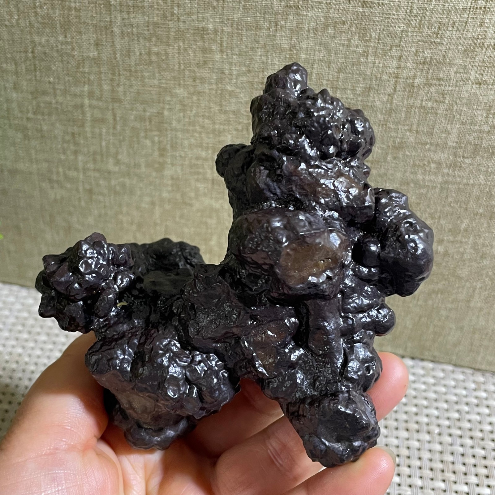 432g Limonite & Hematite pseudomorph after Marcasite Prophecy Rock Stone