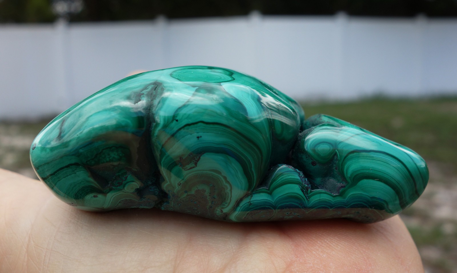 Green MALACHITE Bullseyes Nodule Specimen Crystal Congo South Africa For Sale