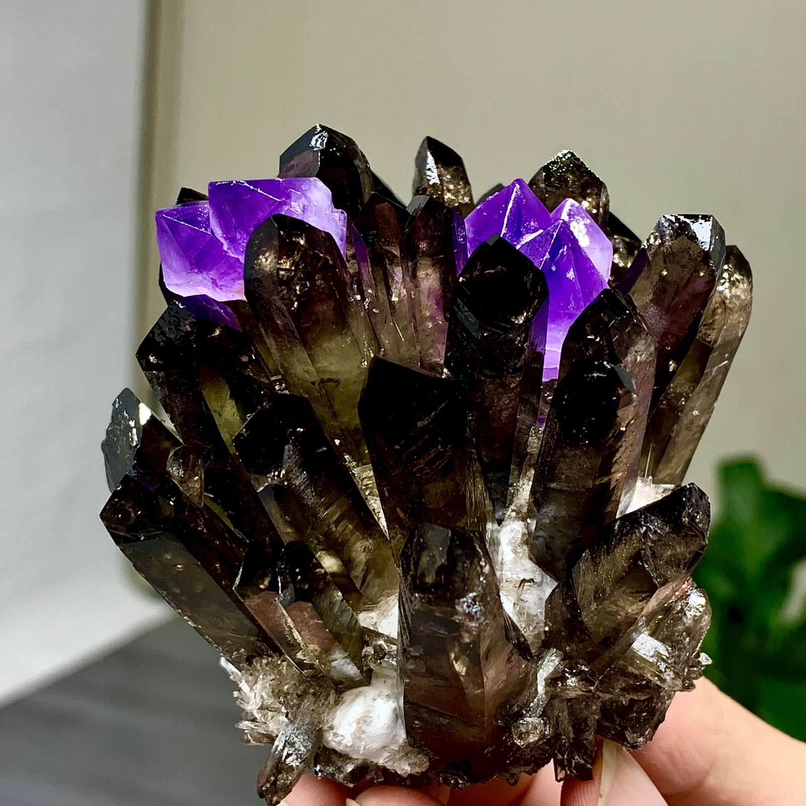 290G New Find black+purple Phantom Quartz Crystal Cluster Mineral Specimen