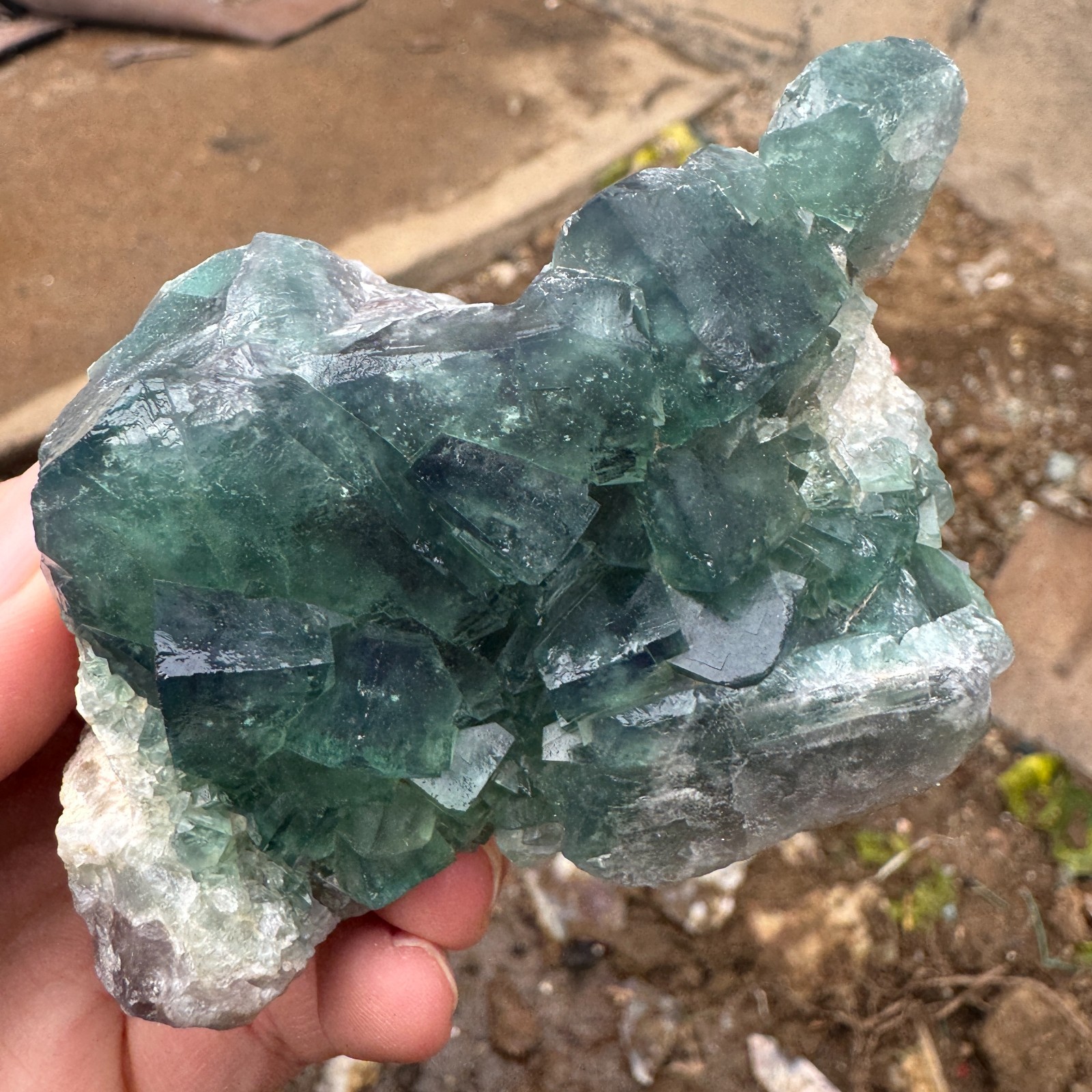 240G Natural cubic green fluorite crystal cluster rough mineral specimen Healing