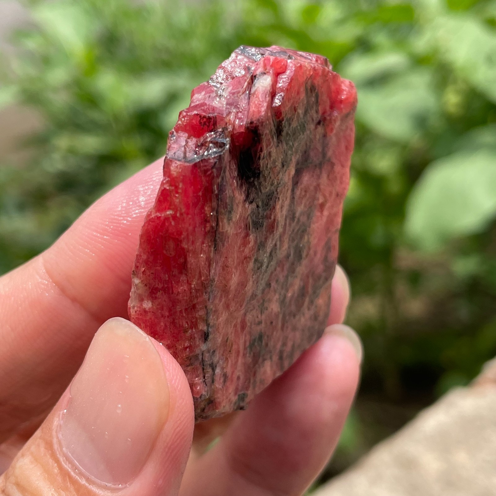 74g Small Raw Ore Red Black Rhodonite Quartz Gemstone Mineral Specimen
