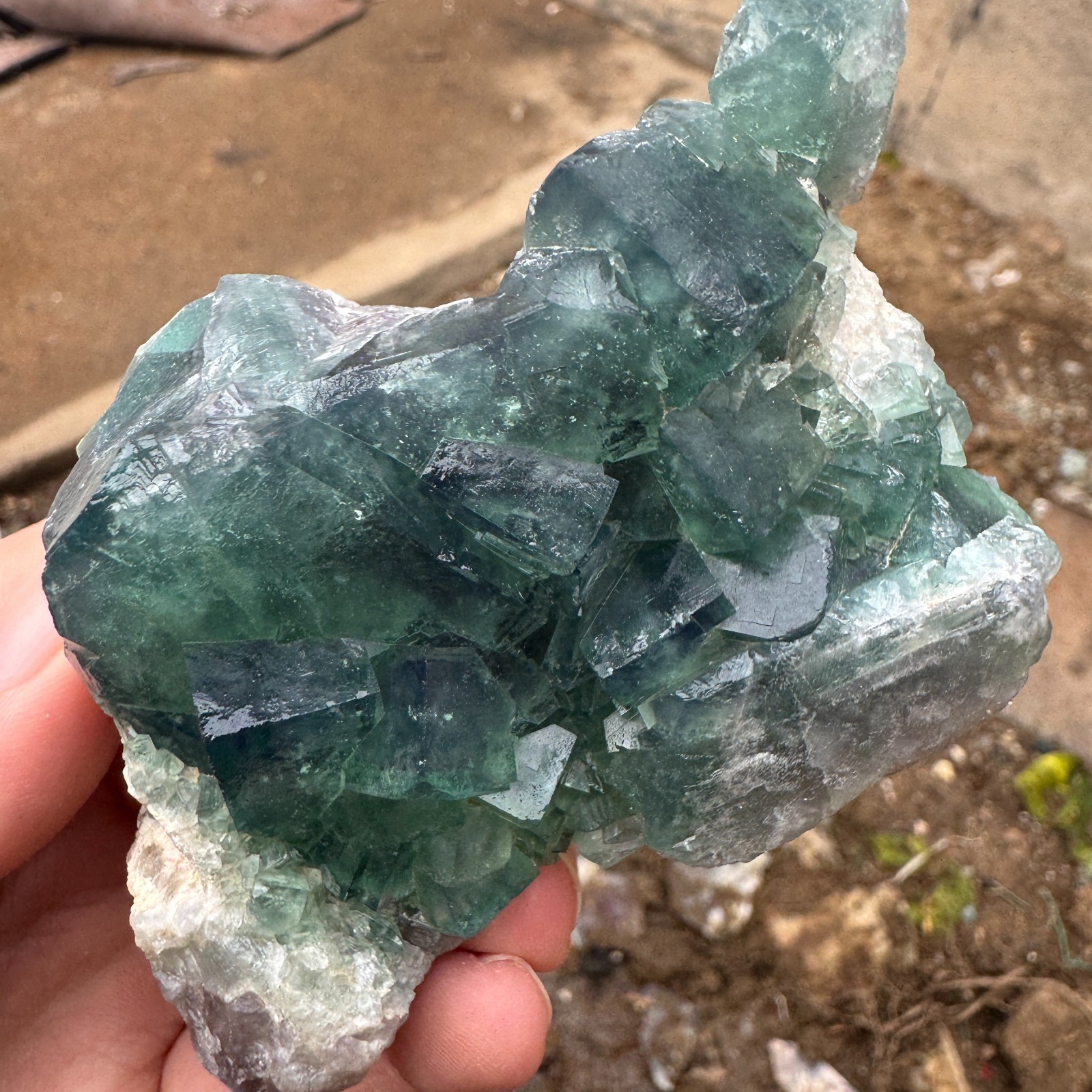 240G Natural cubic green fluorite crystal cluster rough mineral specimen Healing