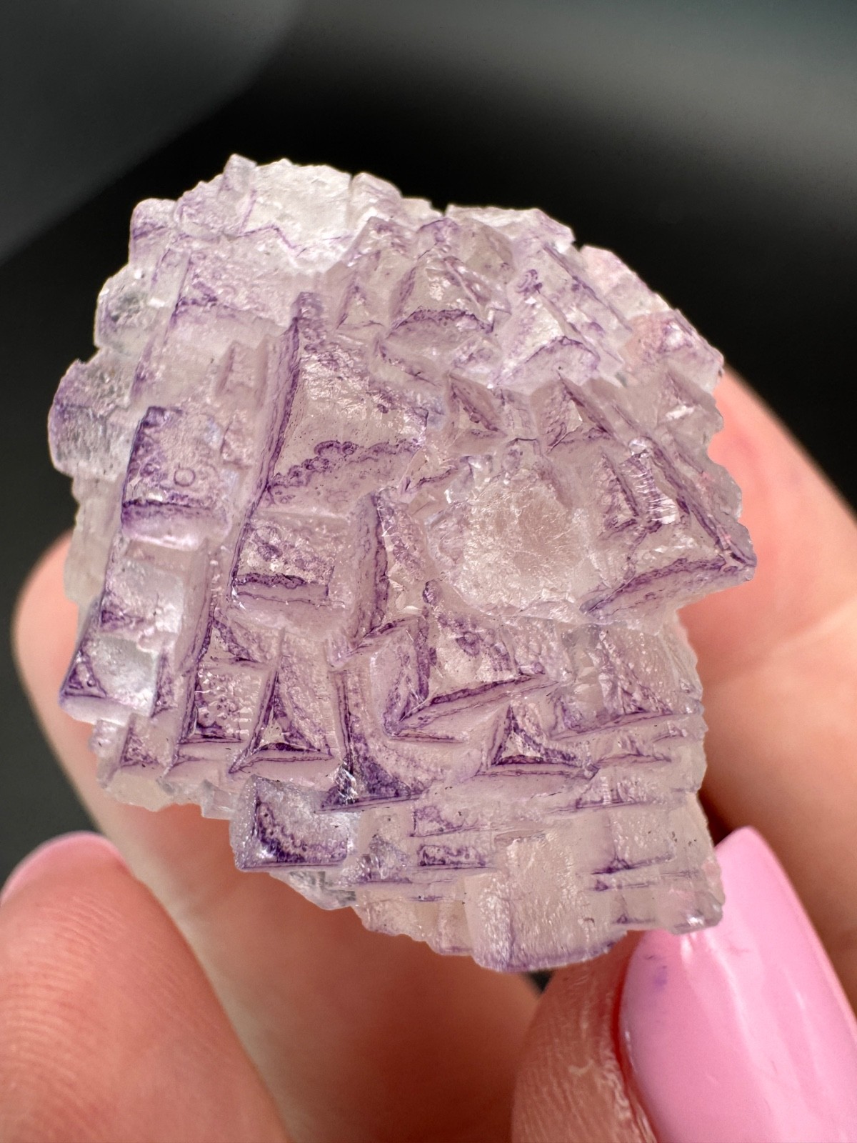 6836 NEW Database Fluorite Purple Triangle Yun Nan in Perky Box 34g