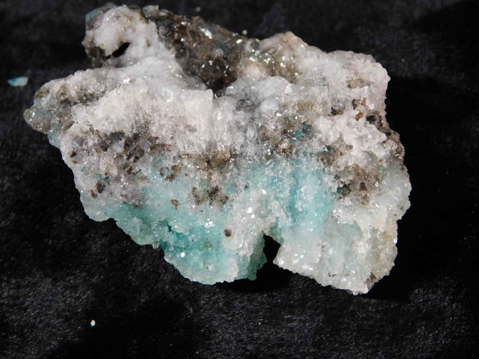 Light BLUE! CHRYSOCOLLA Cluster with Translucent Druzy Quartz Mexico 37.8gr