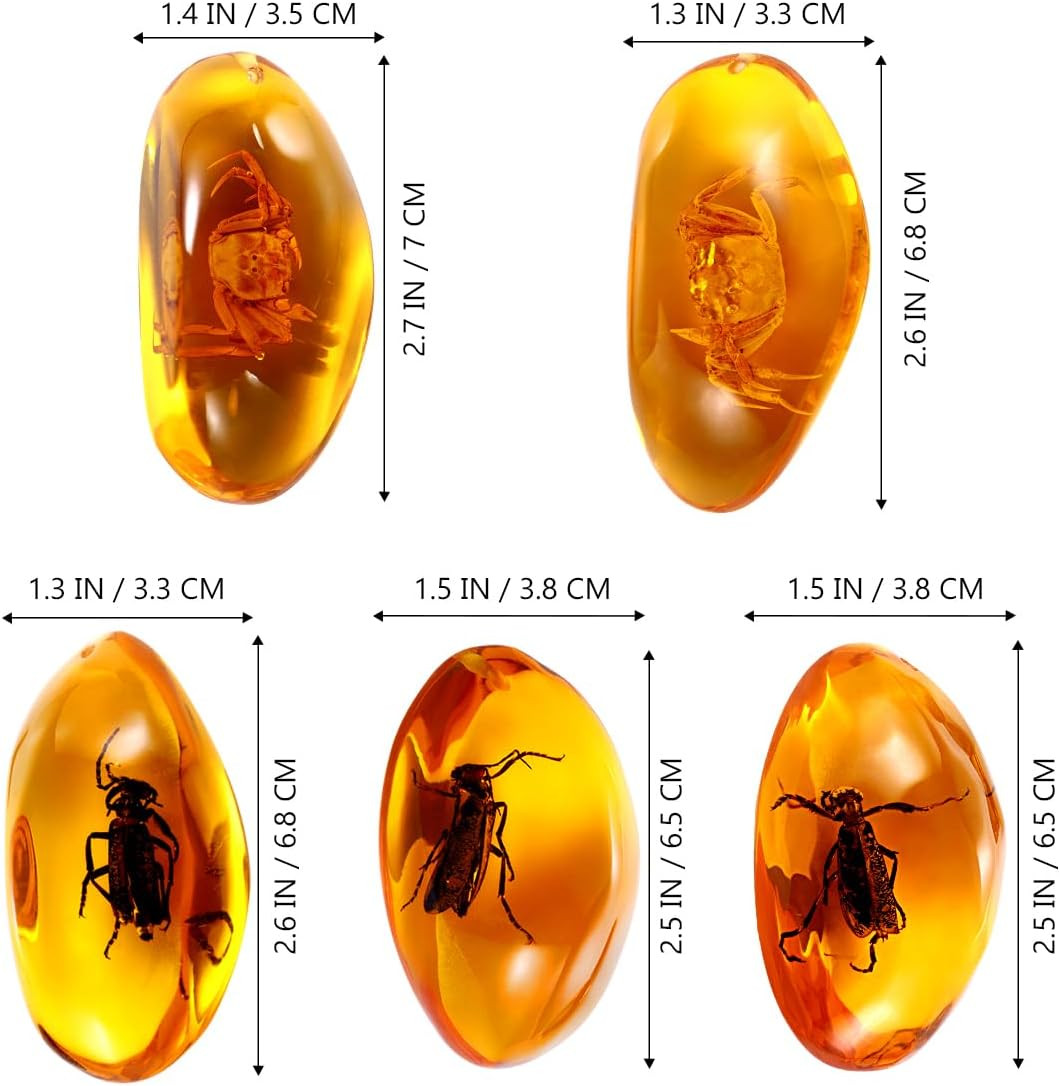 5Pcs Amber Fossil with Insects Samples Stones Crystal Specimens Home Decorations