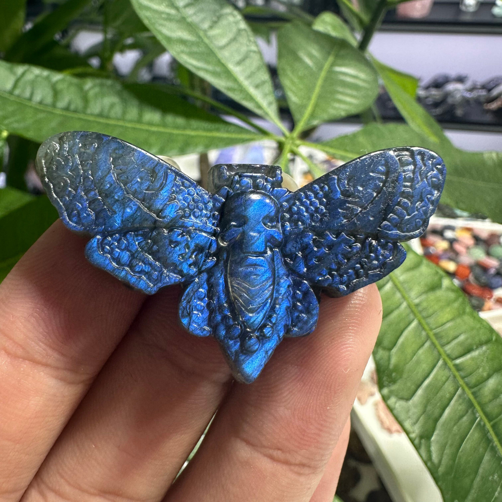 Natural Labradorite Ghost face Moth Specimen Quartz Skull Crystal Reiki Healing