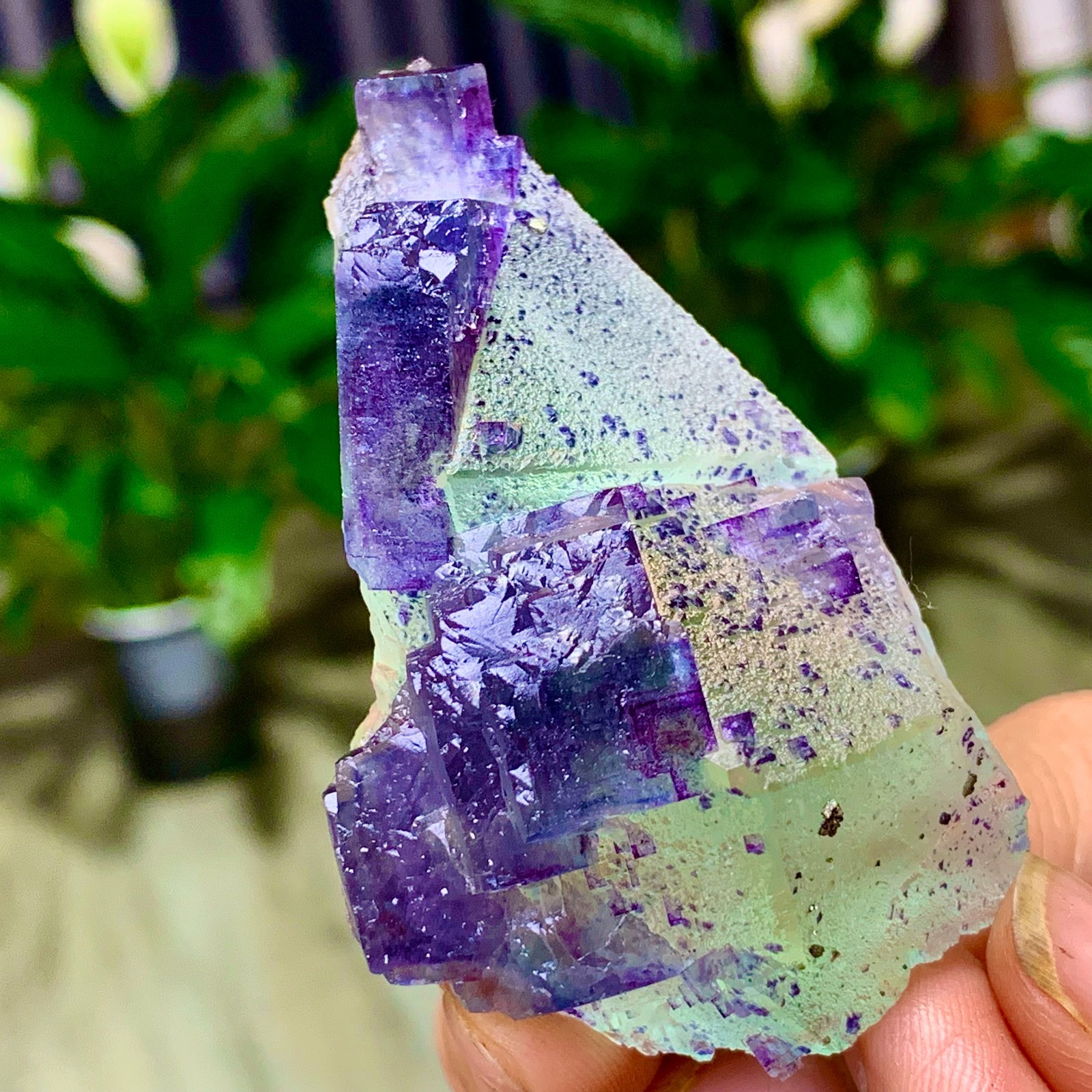 86G Rare transparent green purple cubic Zhejiang fluorite mineral sample
