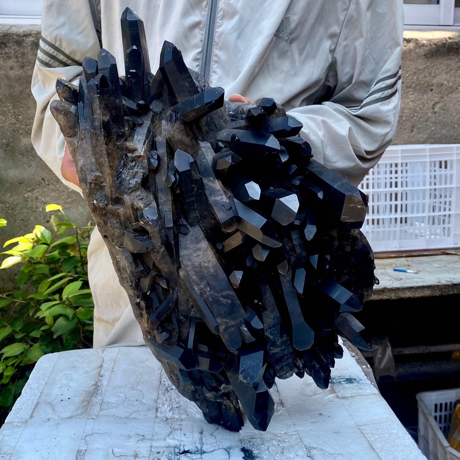 26LB Tea black Crystal quartz Cluster Mineral Specimen Healing reiki