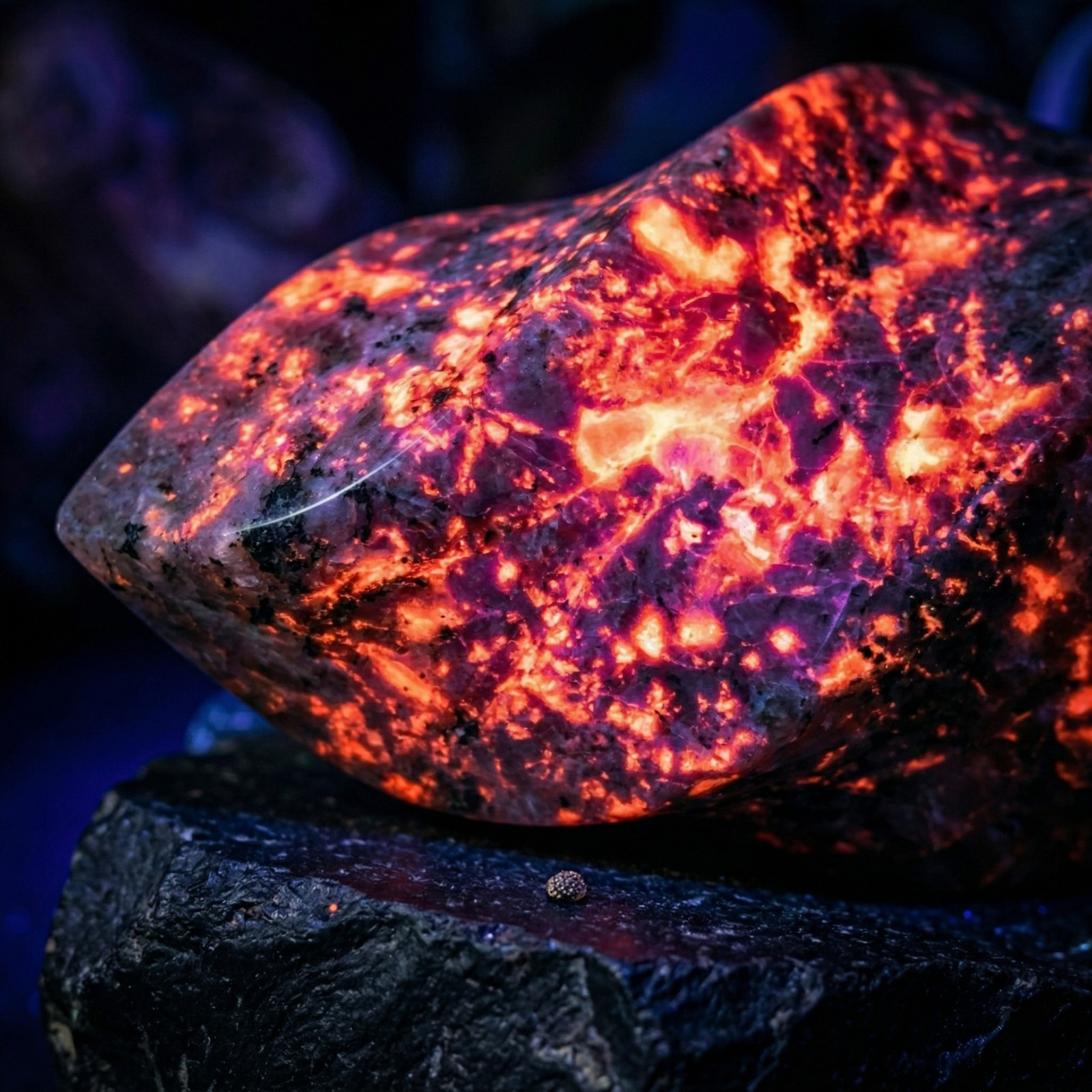 Natural Yooperlite Crystal Flame Glowing Fluorescent Sodalite Stone UV Reactive